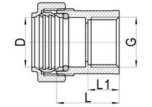 لاكور مستقيم (أنثى) C×FI، HS140-002