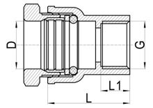 لاكور مستقيم (أنثى) C×FI، HS150-002