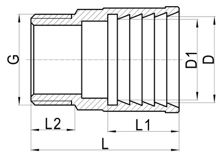 لاكور مستقيم (أنثى) C×MI، HS180-002