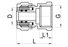 لاكور مستقيم (أنثى) C×FI، HS210-003