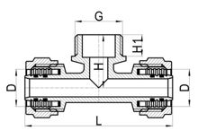  تي ذكر C×FI، HS210-014