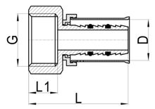 لاكور مستقيم (أنثى)، HS220-003