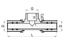 تي مقلوظ (أنثى)، HS220-013