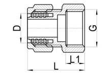 لاكور مستقيم (أنثى) C×FI، HS230-002